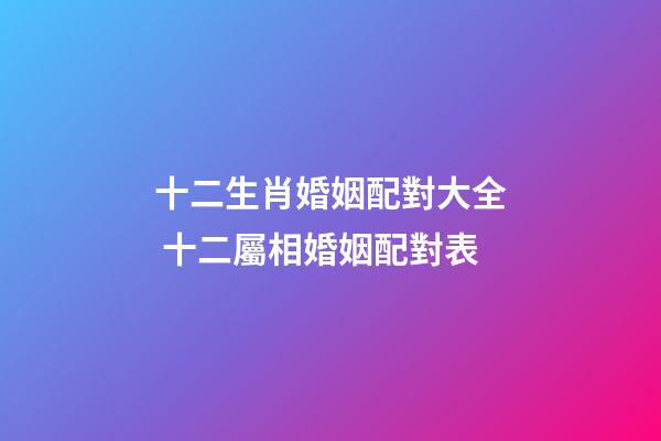 十二生肖婚姻配對大全 十二屬相婚姻配對表-第1張-觀點-玄機派